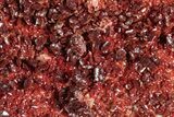 Glittering, Ruby Red Vanadinite Crystals on Barite - Morocco #278227-1